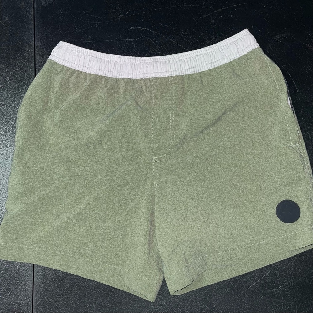 Chubbies green shorts